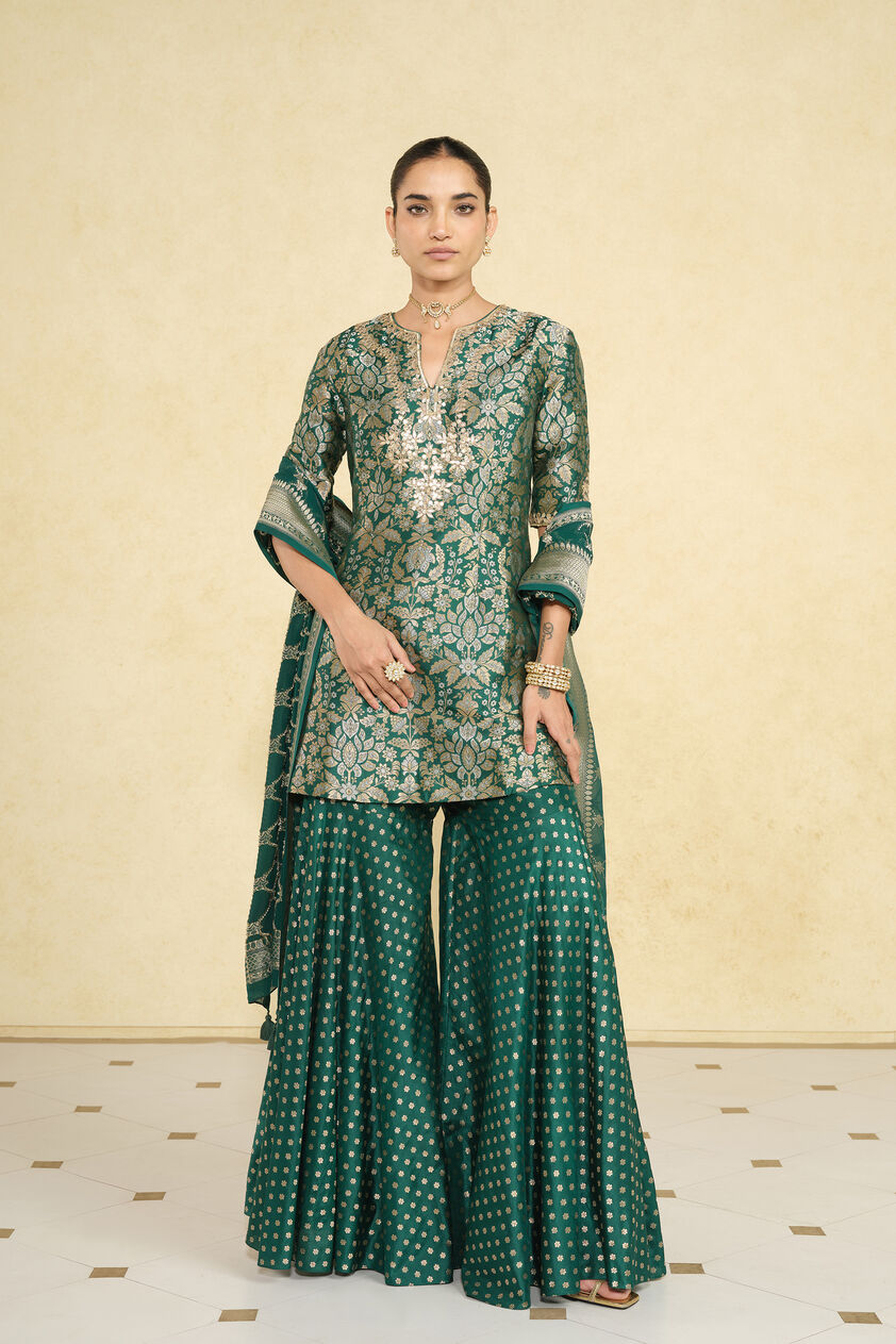 Khevna Handwoven Benarasi Silk Sharara Set - Green, Green, image 1